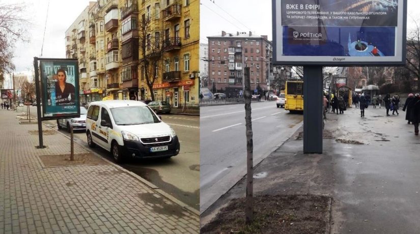 Остались пеньки. В центре Киева загадочно исчезают деревья возле рекламных баннеров