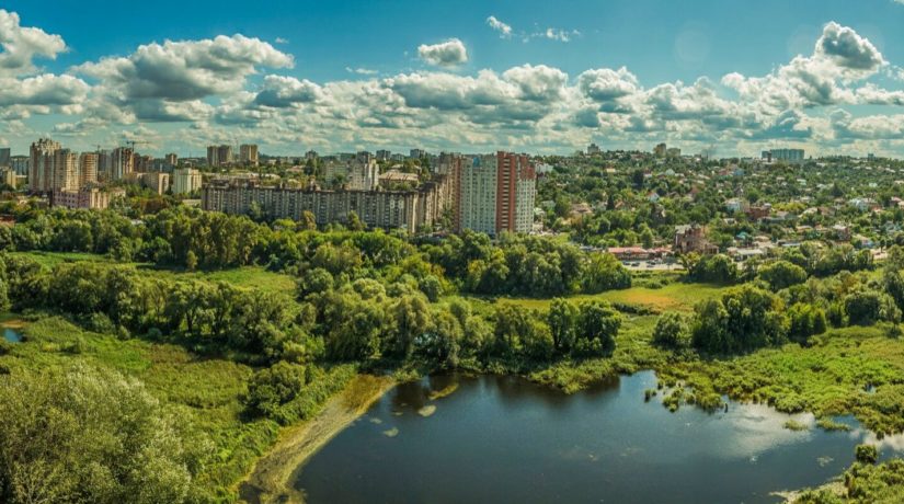 Территорию Совских прудов предлагают превратить в парк и благоустроить