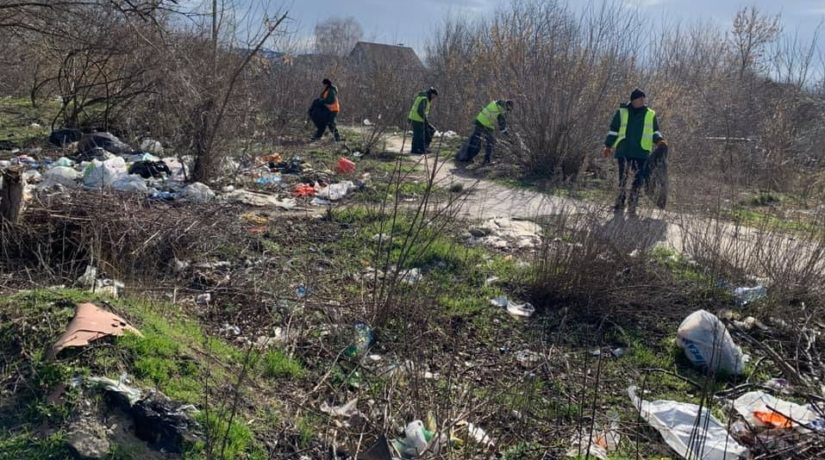 Наотдыхали: возле озера в Дарницком районе собрали 40 тонн мусора