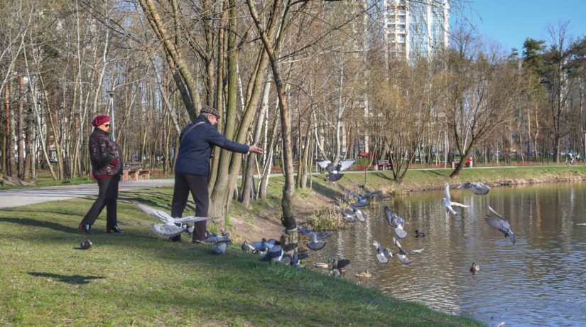 Весна взимку: у Києві третій день поспіль фіксують температурні рекорди
