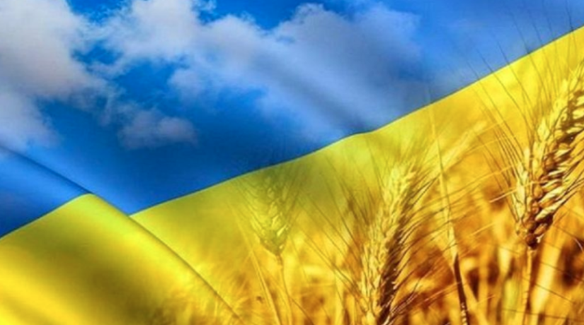 Эстонская e-Residency добавила в свой каталог компанию из Украины
