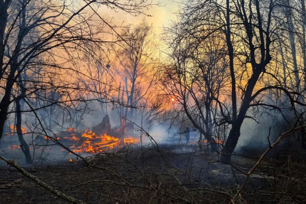 Как горят леса Чернобыля – фото
