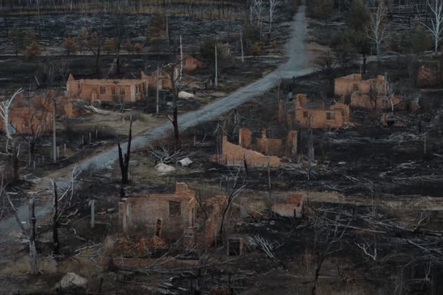 Лісу – нема, лишилося згарище. Як побачила Чорнобиль камера дрону (ВІДЕО)