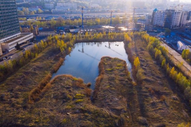 На місці майбутнього парку біля НСК «Олімпійський» зникли майже всі дерева