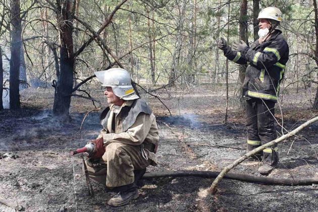 Пожежі в Чорнобилі: досі горять 4 лісництва