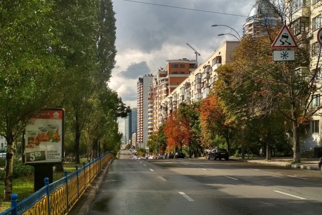Ремонт на 22,5 млн. На бульварі Лесі Українки оновлять дорожнє покриття