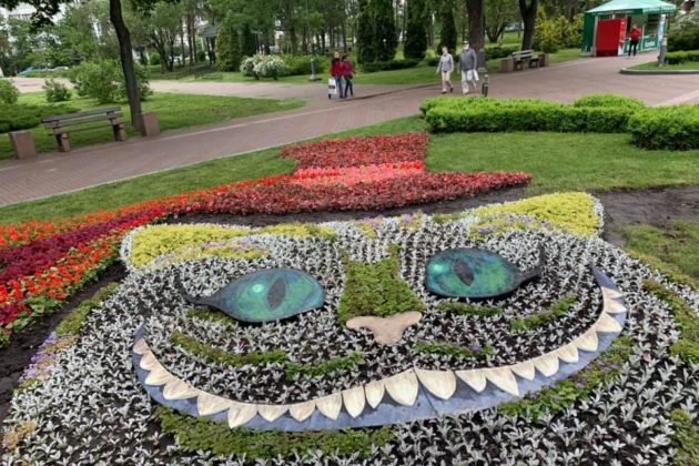 Чеширський кіт та пеньок бажань – парк “Перемога” готується до Дня Києва