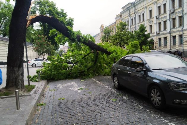 Вивернуті з корінням дерева та безліч зламаних гілок – наслідки негоди в Києві (ФОТО)