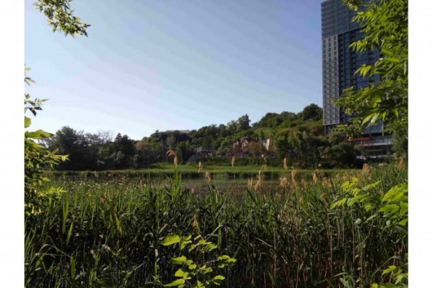 Совські ставки: кияни просять створити парк замість забудови