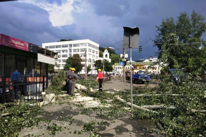 Злива та сильний вітер валили дерева в трьох районах столиці