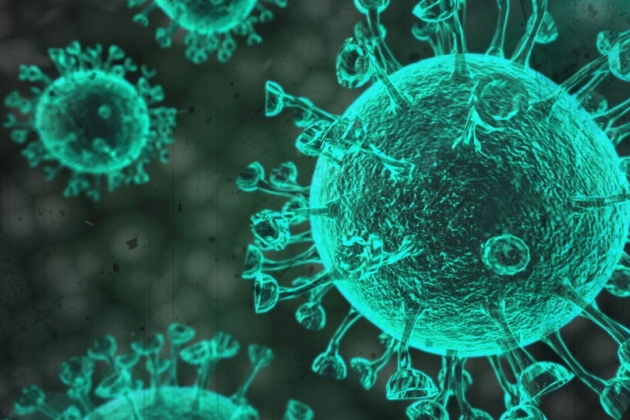 +463 за добу – коронавірус в Україні станом на 8 червня