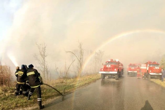В Чорнобилі тліє 3 га лісу після пожежі
