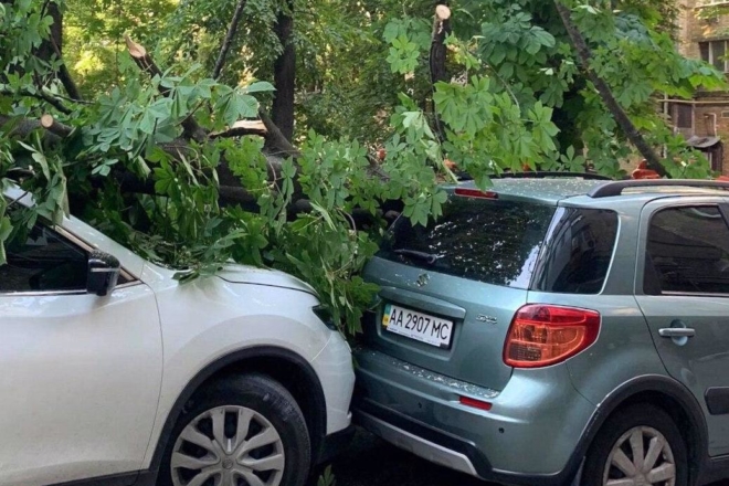 Другий день поспіль в Києві падають дерева – пошкоджено кілька автівок