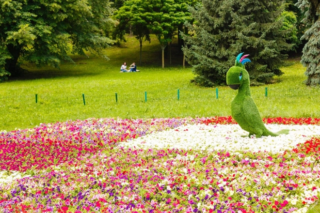 Нова виставка квітів на Співочому полі. На ній будуть Angry Birds, Посіпаки та Аладдін