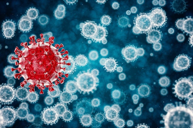+664 нових випадки коронавірусу за добу в Україні