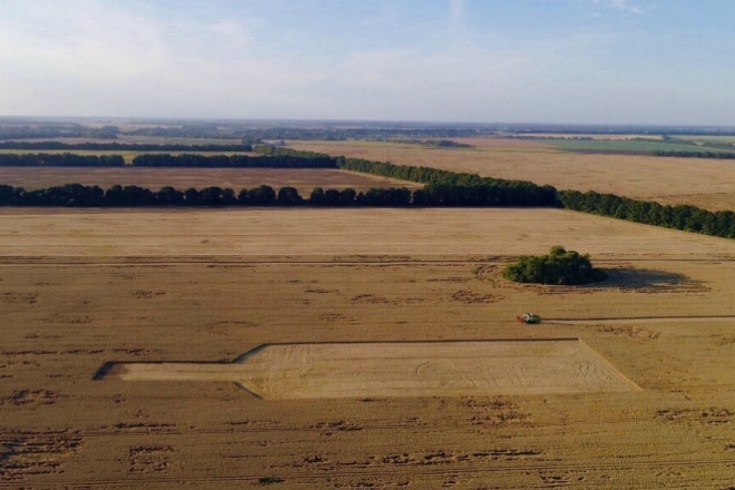 Арт-акція від аграріїв: комбайни створили найбільшу фігуру на пшеничному полі