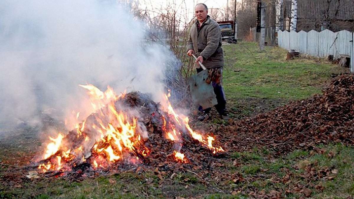 глупые правила мчс сжигать в огороде траву нельзя в печи тоже где предлагают сжигать