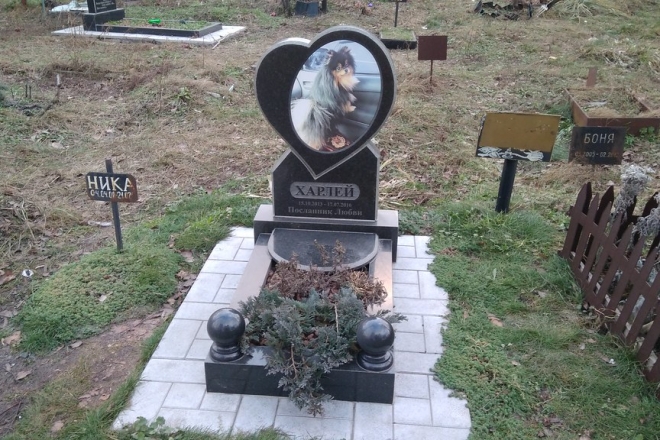 Не дотримали обіцянки. Кладовища для тварин у Києві цього року не буде