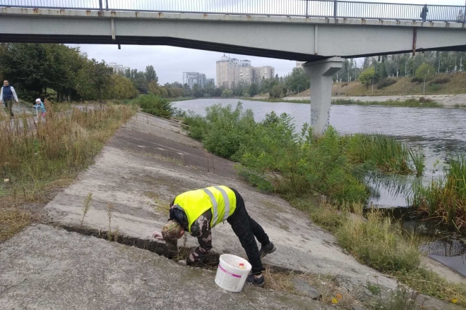 У Києві біля водойм знищують пацюків (ФОТО)