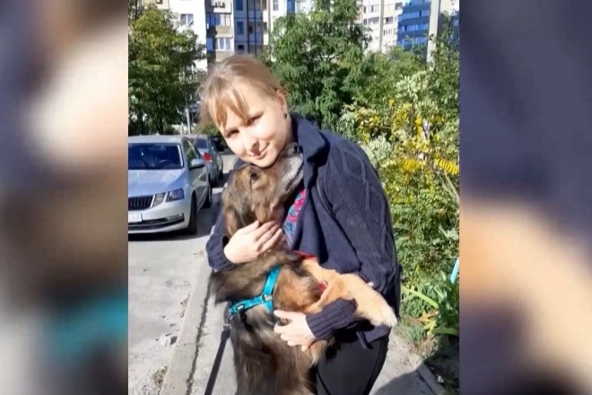Хатіко по-київськи. Жінка віднайшла чотирилапого друга після 10-літньої розлуки