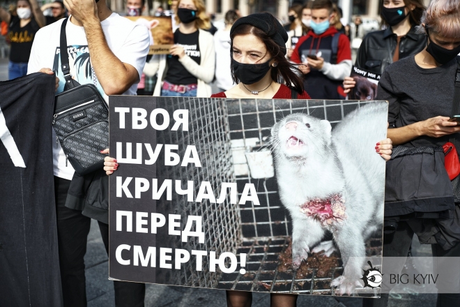 “Твоя шуба кричала перед смертю”. В центрі Києва відзначили Всесвітній день тварин – ФОТО