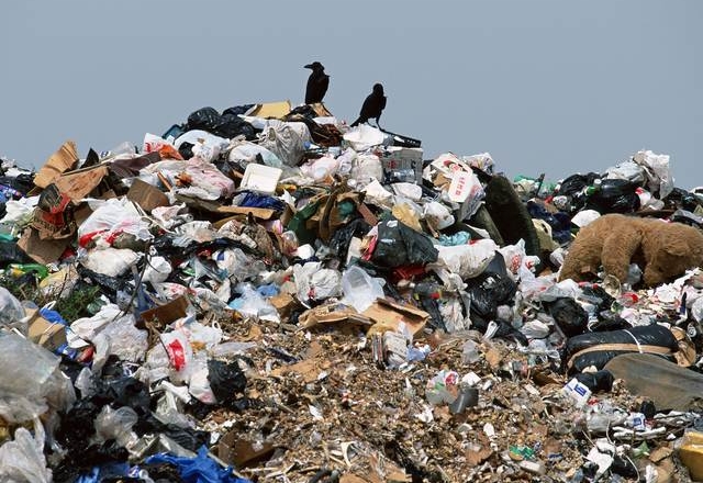 Комунальники створили незаконне сміттєзвалище у Макарівському районі