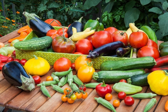 Де купити свіжі овочі та фрукти цього тижня – локації ярмарок