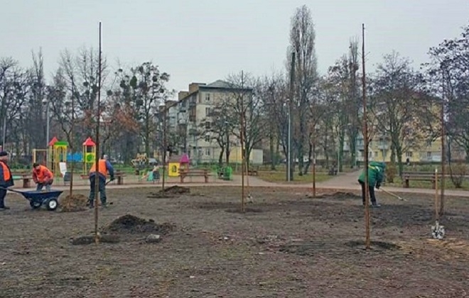 У сквері Дніпровського району висадили 12 молодих кленів