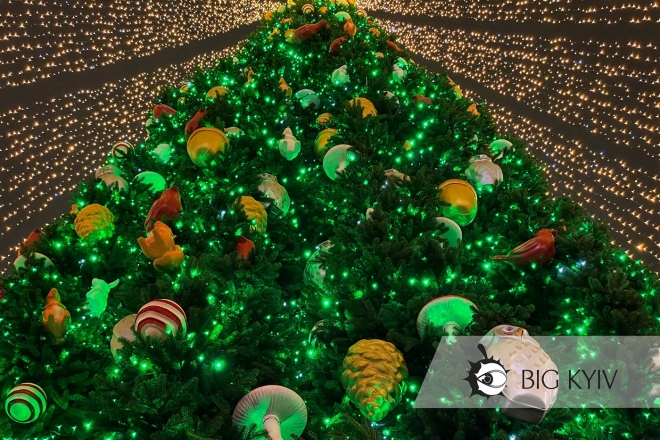 Київська ялинка потрапила в десятку найпривабливіших різдвяних дерев Європи