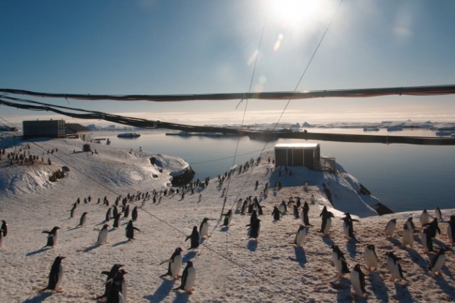 “Снігу, як в Антарктиді” – українські полярники привітали з Новим роком