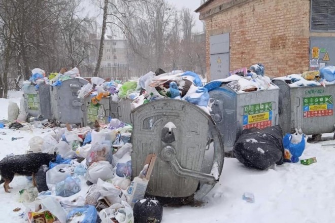 На Київщині є свій Львів: гори сміття посеред міста, сморід, собаки і бездіяльність влади