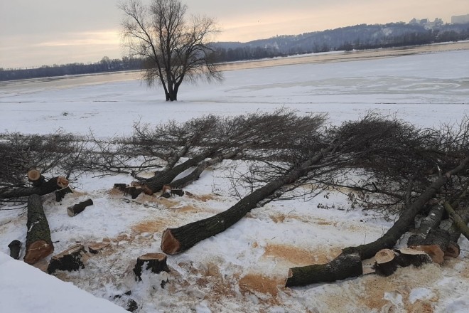 Зрубані дерева і будівельна техніка: що відбувається на Дніпровській набережній