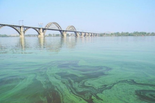 У воді з Дніпра знайшли небезпечні пестициди та ліки від коронавірусу