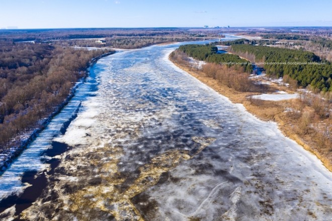 Весняні річки Полісся – неймовірні фото