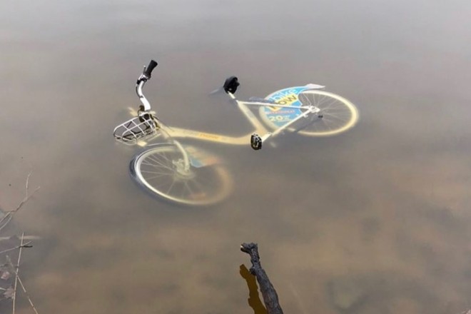 “Просто бидло”. У столиці хтось пожбурив велосипед з міського прокату у воду