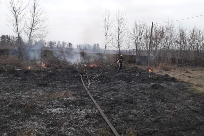 Літня жінка загинула під час спалювання трави на Київщині