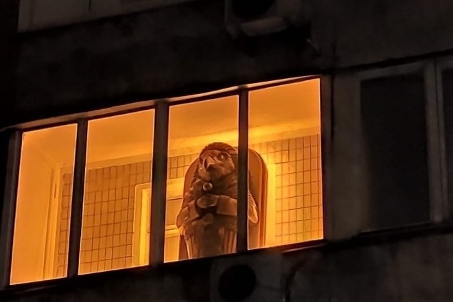 Вночі моторошно підсвічується. На столичному балконі помітили єгипетський саркофаг (ФОТО)