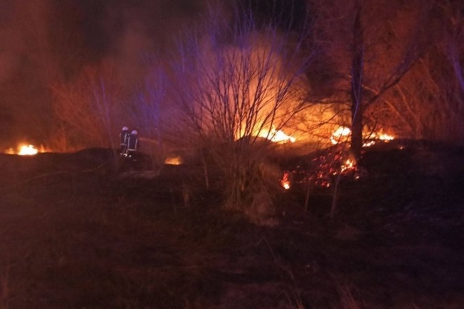Найбільша пожежа за добу сталась у Голосіївському районі – ФОТО