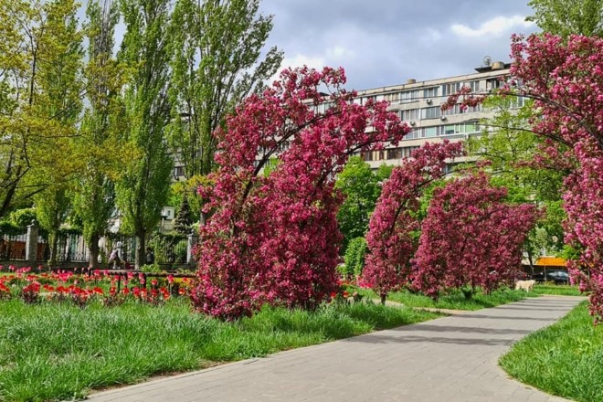 В Києві з’являться 13 нових зелених просторів (ЛОКАЦІЇ)