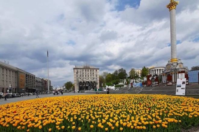 Неймовірна краса: в центрі квітнуть 100 тисяч тюльпанів від Нідерландів (ФОТО)