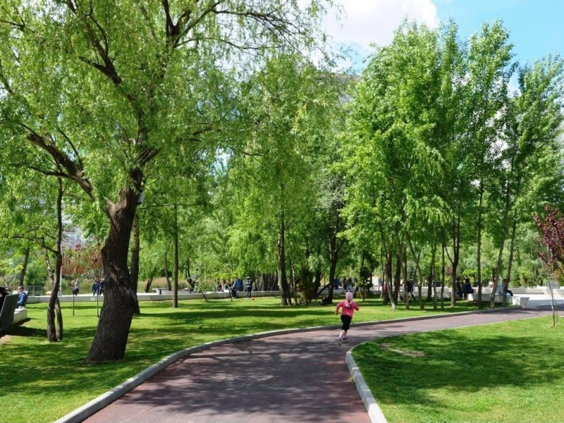 Близько 30 нових парків та скверів буде створено в Києві (АДРЕСИ)