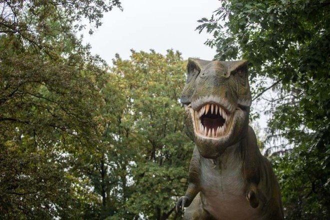 Розваги та музей: на ВДНГ відкривається виставка-парк “Планета динозаврів”