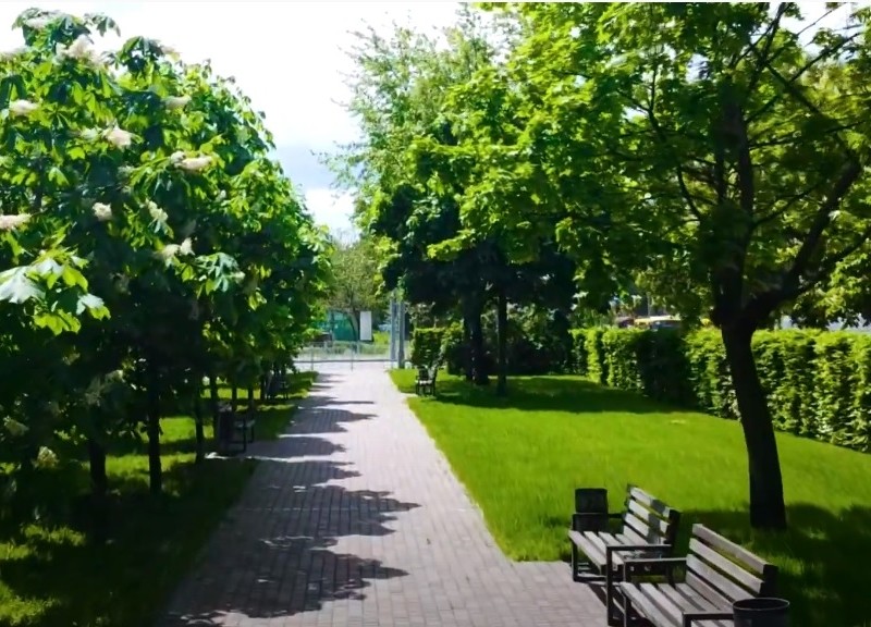 2400 грабів: живий паркан з’явився навколо парку Захисників України