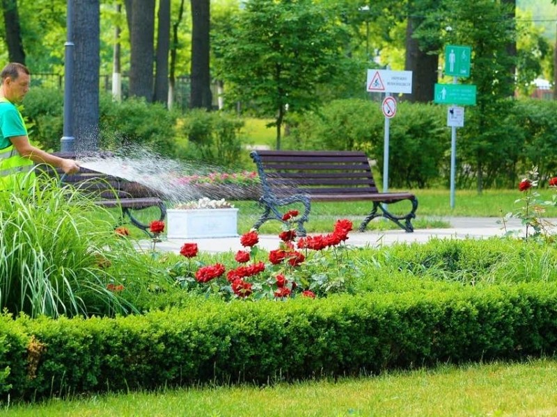 Парків і скверів побільшає: у 6 районах Києва створять 32 зелені зони