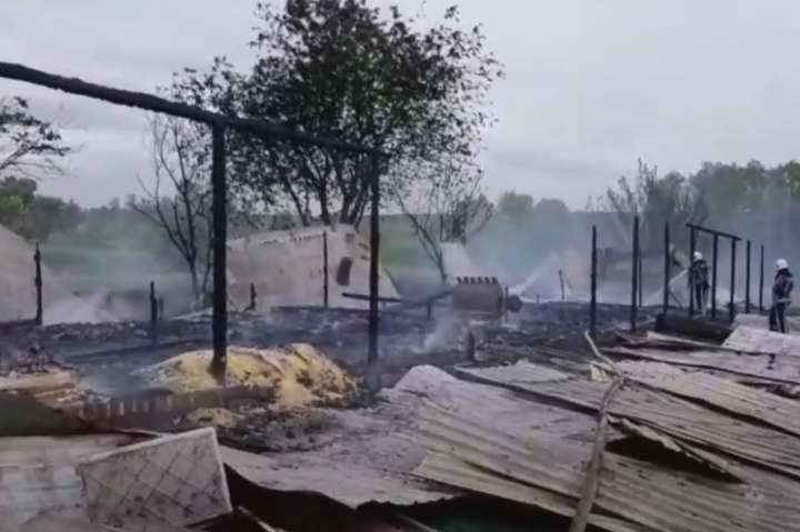 Моторошна пожежа на Київщині. Згоріло 2 тисячі курей (ВІДЕО)
