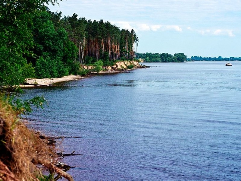 Ціла Санта-Барбара: у Київському морі врятували 10-річну дівчинку, яка вистрибнула з човна за 4 км від берега