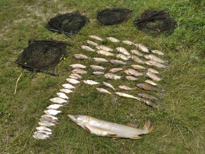 На Київщині чоловік наловив 30 кг риби забороненим знаряддям
