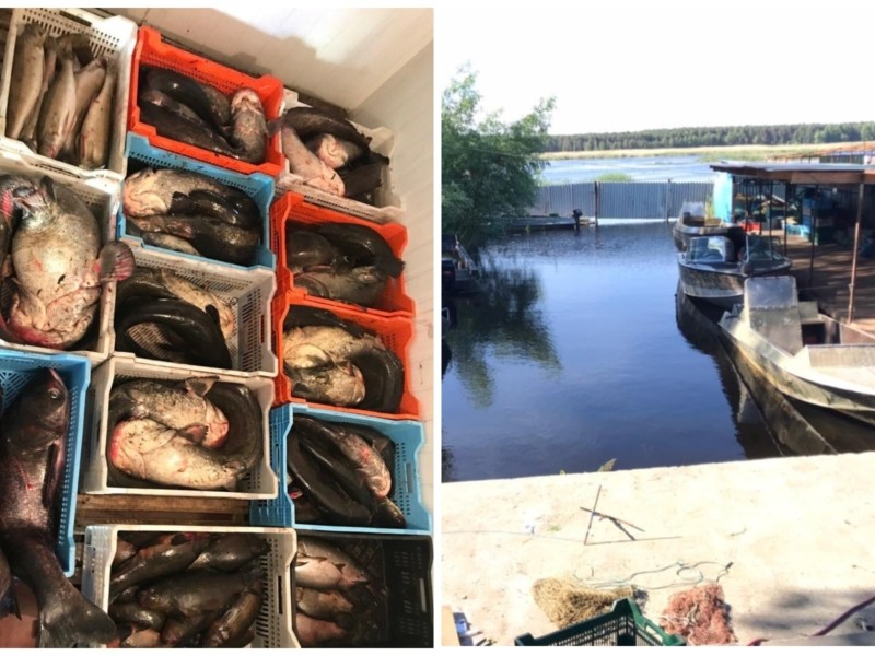 На Київщині виявили браконьєрів, які займалися масовим виловом риби