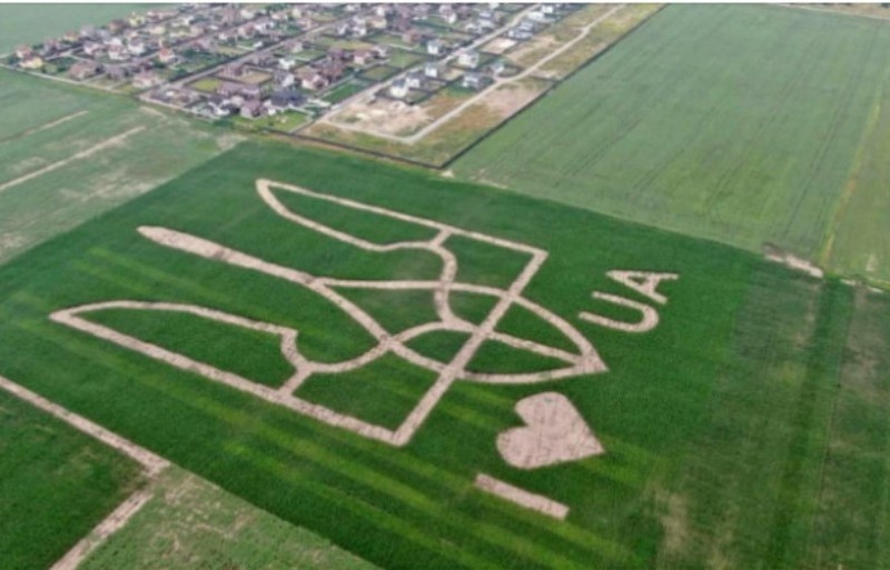 Видно з літаків: рекордний Тризуб виростили на полі під Києвом (ФОТО, ВІДЕО)