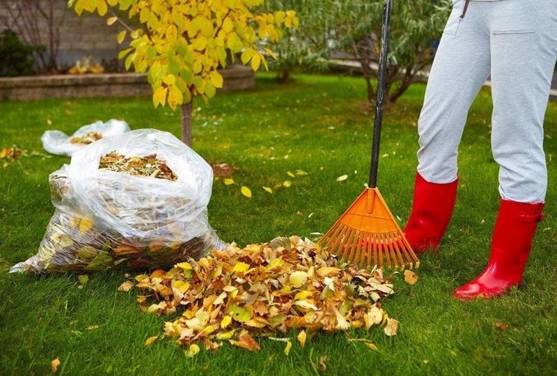 У Бучі і Ворзелі організують вивезення опалого листя для приватних будинків